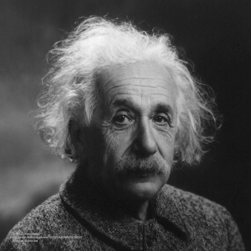 Real Men of Genius - Einstein